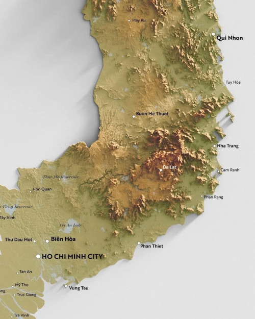 Ảnh chữ nhật Dọc